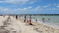 Llegada de crucero con más de 4 mil pasajeros dinamiza actividad turística en Progreso