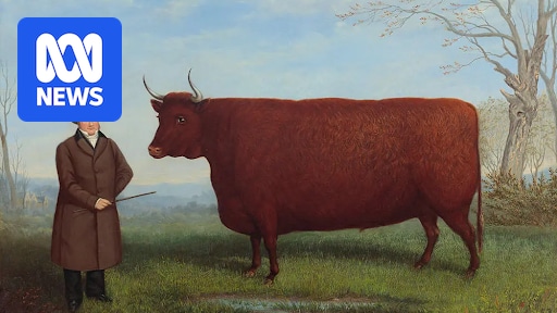 How the genre of agricultural livestock art became so popular