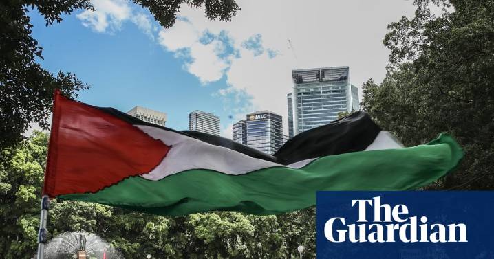 NSW anti-protest law ruled unconstitutional after Palestine Action Group court challenge