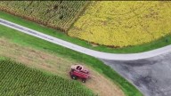 Maryland soybean farmers lose business from China amid trade war