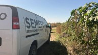 Hallan cadáver de un hombre en camino de terracería de La Higuerita, en Culiacán