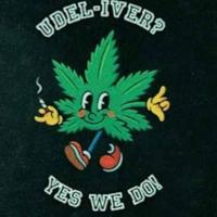 Marijuana delivery scam targets UD, Newark community