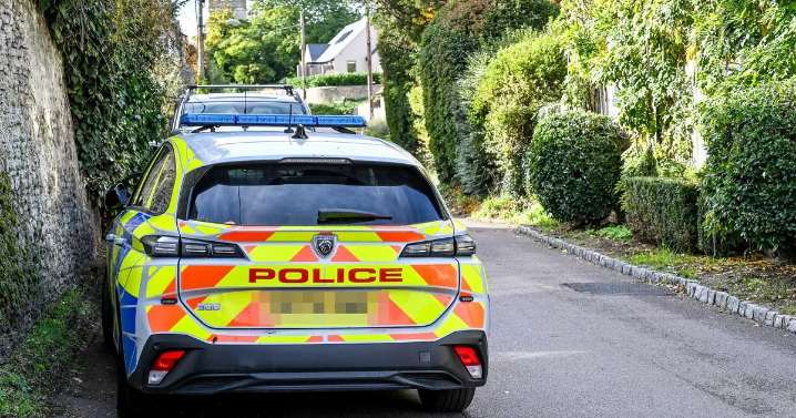 Girl, 9, dies and woman fighting for her life in 'unimaginable tragedy'
