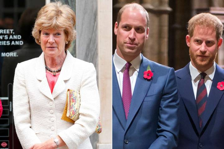 Prince William, Prince Harry's Aunt Hospitalized After 'Really Bad Fall' from Horse
