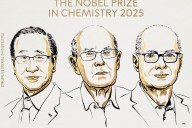 Nobel de Química es entregado a tres científicos por el desarrollo de estructuras metal