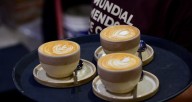 Expo Café Mendoza 2025: fechas, actividades, lugar y entradas