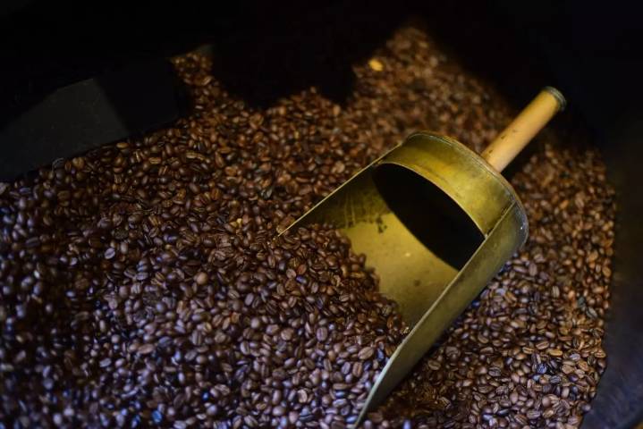 Sector cafetalero crecerá si compran grano directamente a los productores nacionales
