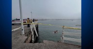 Vehicle drives off Santa Cruz wharf; crews extricate 1 person and a dog