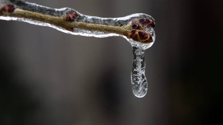 Freeze warning issued in Rochester region. Here's when and where
