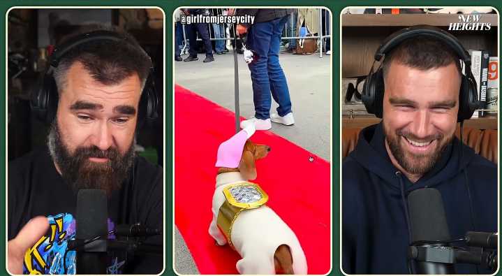 Travis Kelce Reacts to Dog Dressed as Taylor Swift’s Ring for Halloween