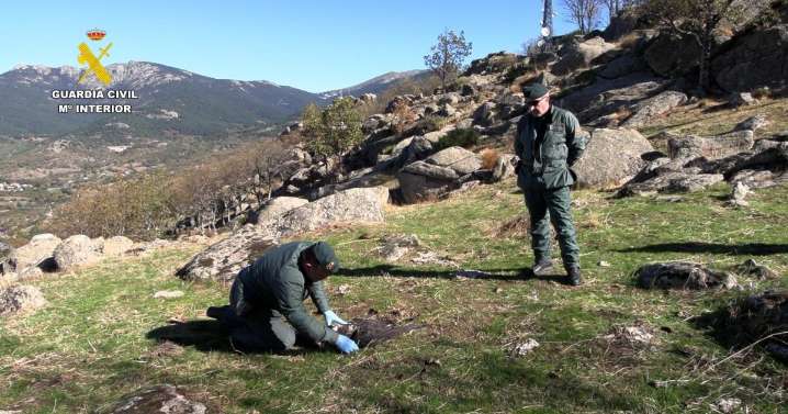 62 detenidos en una macrooperación contra la utilización de métodos de caza ilegales