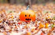 Did you wake up to snow this morning? Here is what to expect for this ‘Halloweekend.’