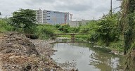 Bengaluru Whitefield drains expose severity of Bengaluru's stormwater crisis