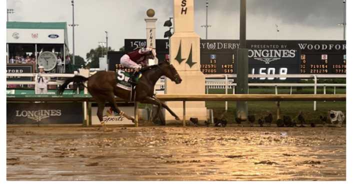 Thoroughbred racing's 2024 Horse of the Year Thorpedo Anna retires