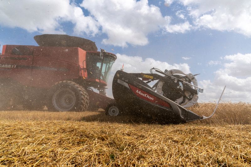 Bangladesh approves US wheat imports, hoping to ease trade tensions
