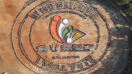 EC to hold presser on pan-India SIR of voters' list on Monday evening: Officials