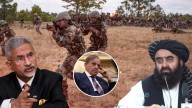 Jaishankar Claws Into Pakistan Terror, Highlights Cross Border Threat World News