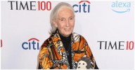 The Late Dr. Jane Goodall Had an Impressive Net Worth