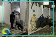 Tras operativos hallan droga y celulares en el Cereso de Chetumal; trasladan a 12 reos a Cancún