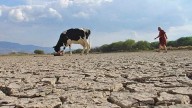 Ciclo hidrológico 2025-2026: San Juan tendría 40% menos de agua