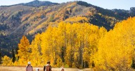 Experience the magic of fall colors with these scenic drives and hikes