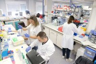 Descubren biomarcadores que anticipan la diabetes tipo 2