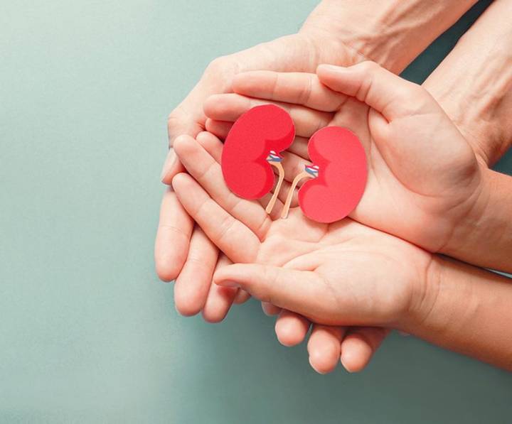 Doctors reveal: The ‘healthy’ morning habits secretly hurting your kidneys