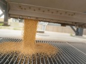 Compararon la producción agrícola en Argentina, Brasil y Estados Unidos durante la última década: los sorprendentes resultados