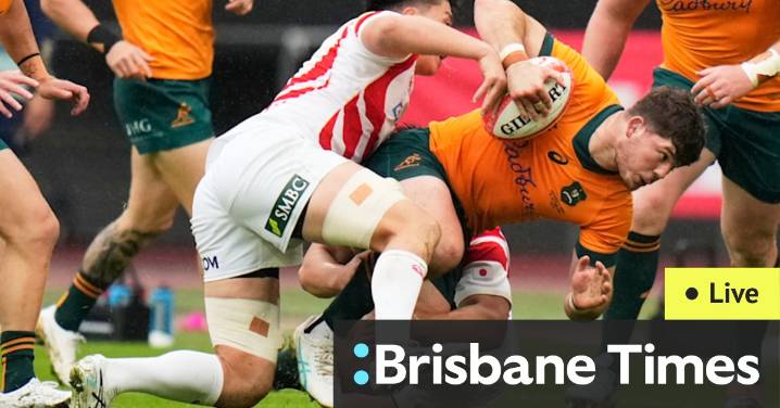 Wallabies v Japan: Live updates