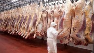 Estados Unidos triplicaría las importaciones de carne argentina: el objetivo es bajar el precio interno