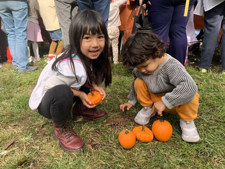 Pumpkins galore at Brooklyn Bridge Park’s Harvest Festival