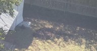 Burleson parents accused of burying their special needs son in backyard, police say