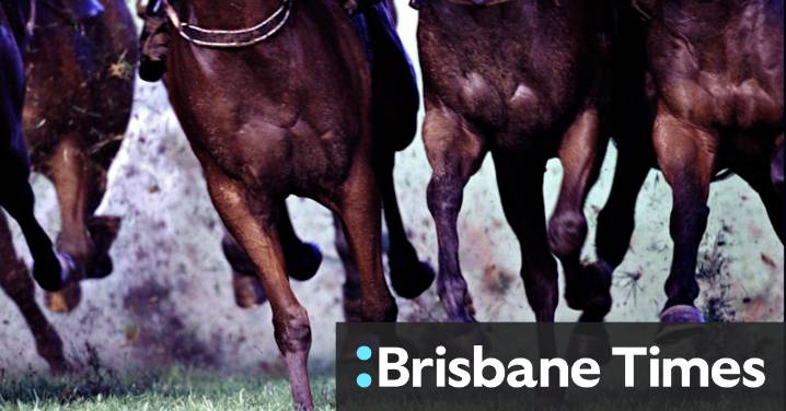 Race-by-race preview and tips for Taree on Friday
