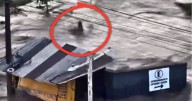 Claman por ayuda en Poza Rica por inundaciones: videos muestran a personas arrastradas por el agua