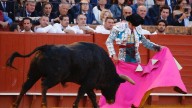 La Junta anuncia la convocatoria de los III Premios Andalucía de la Tauromaquia