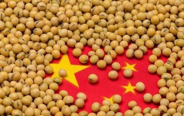 China compró soja estadounidense por 12.600 millones de dólares el año pasado. Ahora, está a 0 dólares