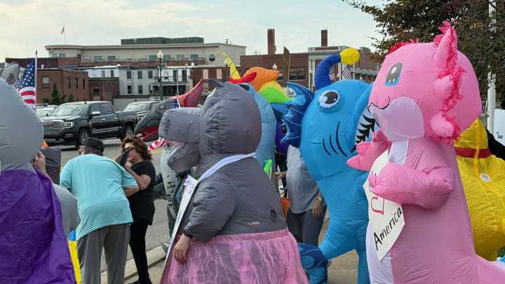 600 gather to protest Trump administration in Monroe