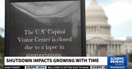 Shutdown impacts growing with time