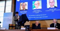 Nobel de Química, al desarrollo de nuevo tipo de arquitectura molecular