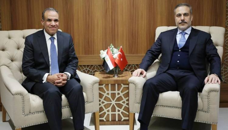 Egyptian, Turkish FMs Discuss Gaza Ceasefire, Reconstruction Efforts