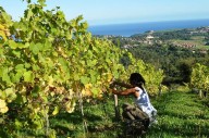 Cantabria se abre paso en el mapa del vino con una experiencia única en Ruiloba