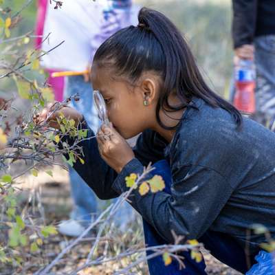 APS seeks volunteers for community workday at Los Padillas Wildlife Sanctuary
