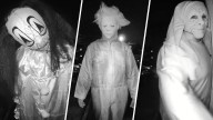 People in Halloween masks threatened Alexandria family: chief
