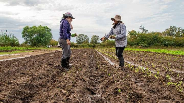 Jornada en la Cámara de Diputados por el Día Internacional de las Mujeres Rurales