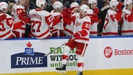 Lightning at Red Wings odds, picks and predictions