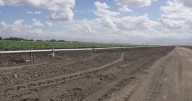 Farmers react, opposing Proposition 50 and redrawing district lines