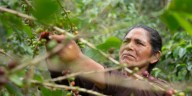El café que nos une: historias visuales desde la Amazonía hasta los Andes, un concurso nacional y la mirada de fotógrafos que celebran la identidad peruana