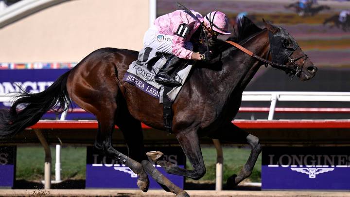 How to watch Breeders' Cup 2025: free live streams, schedule