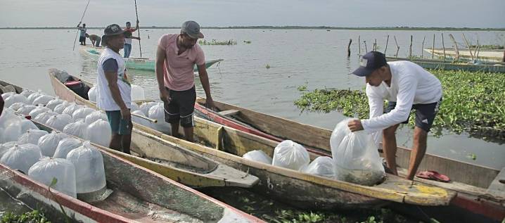 FAO reconoce aporte del ‘Plan + Pescao’ a sistemas alimentarios acuáticos sostenibles