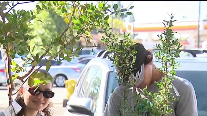 Southeastern San Diego free-tree event bonus: Helping with food insecurity – NBC 7 San Diego